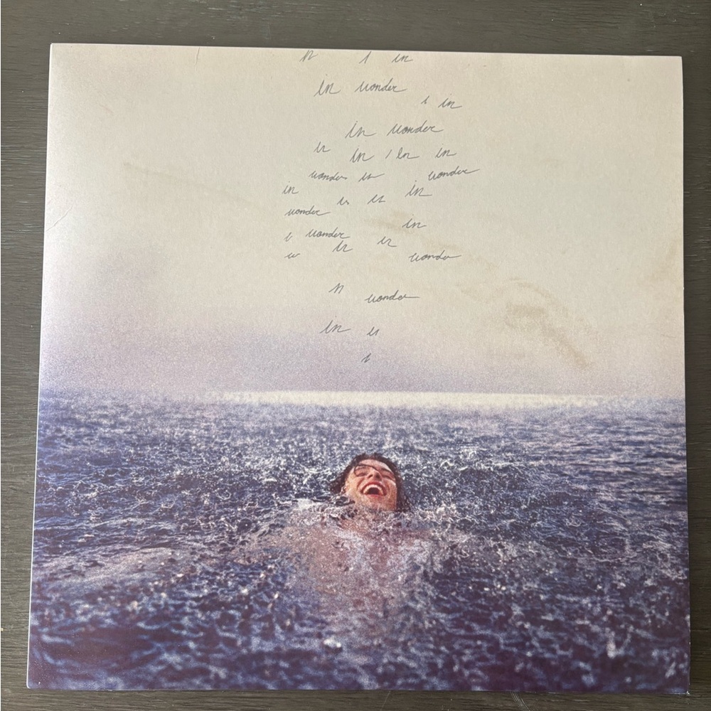 Shawn Mendes Vinyl